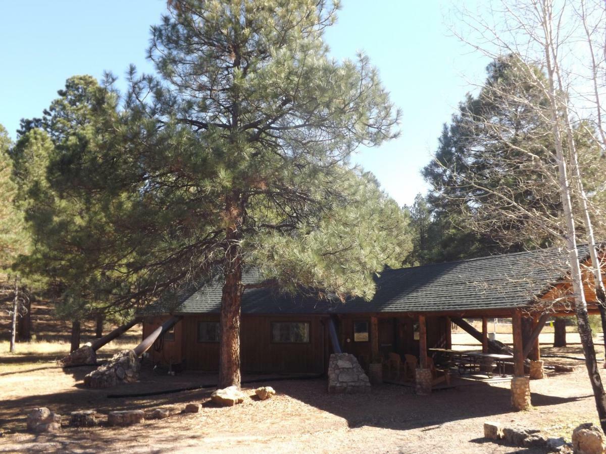 פלאגסטאף Arizona Mountain Inn & Cabins מראה חיצוני תמונה